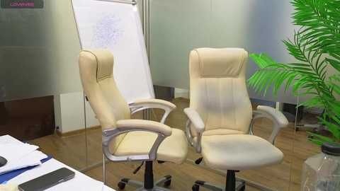 Media: Video of a modern office with beige ergonomic chairs, a whiteboard, a green plant, and a glass of water on a wooden table.