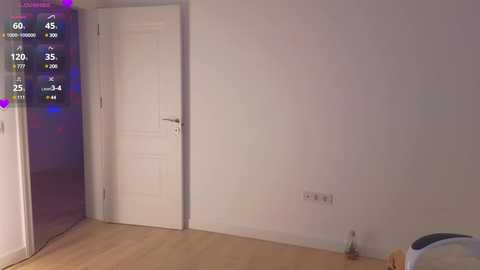 Media: Video of a minimalist, white-walled bedroom with a closed white door, a small trash bin, and a visible thermometer on the wall, showing 65\u00b0F.