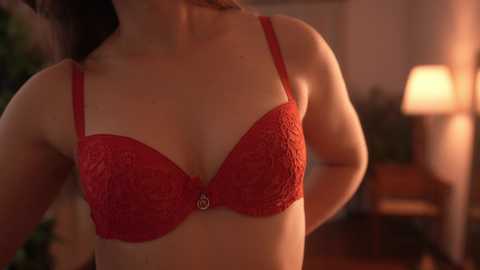 Media: Video of a woman in a red lace bra, medium build, fair skin, blurred background with warm lighting, possibly a living room setting.