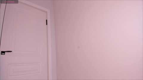 Media: Video of a minimalist, corner room with a plain white door on the left and a smooth, pale beige wall on the right, featuring a small, barely noticeable nail hole.