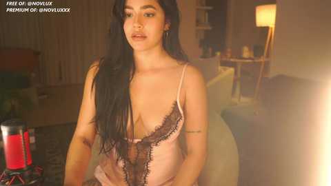 Media: A video of a young woman with long black hair, wearing a sheer pink lace lingerie set, standing in a dimly-lit living room with a modern lamp and a red drink in the foreground.