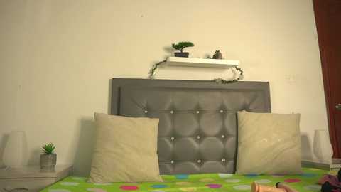 Media: Video of a modern bedroom featuring a grey tufted headboard, beige pillows, white shelves with potted plants, and a colorful bedspread with geometric patterns.