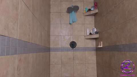 Media: Video of a beige-tiled shower with a blue-tiled border, blue towel hanging, soap dispenser, shampoo bottle, and purple circular watermark in bottom right corner.