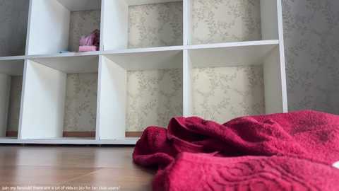 Media: Video of a white storage unit with six compartments, displaying a pink toy in the top-left corner and a red quilted blanket draped on the floor in the foreground. The background features a light gray wall with subtle floral patterns.