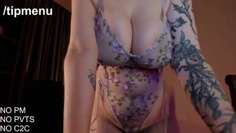 Media: Video of a fair-skinned woman with large breasts, wearing a sheer, floral-patterned bodysuit, revealing her tattoos and cleavage. Background shows a dimly lit room with a wooden table and a window. Text overlays read \"/kipmenu\" and \"NO PTS NO PICS NO 2C.\