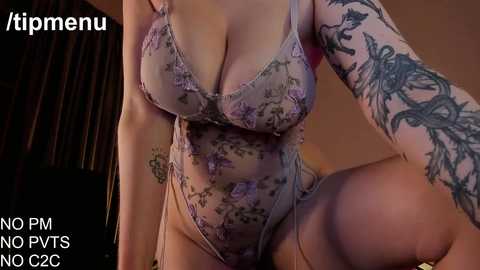 Media: Video of a light-skinned woman with large breasts wearing a sheer floral bodysuit, showcasing detailed black tattoos on her arm and thigh. Background is dimly lit, with text overlay reading \"tipmenu NOFMPTS NO02C\".