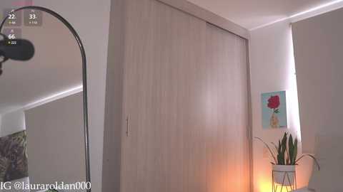 Media: Video of a modern, minimalist bedroom with a light wood wardrobe, a potted plant, and a red flower painting on the wall.