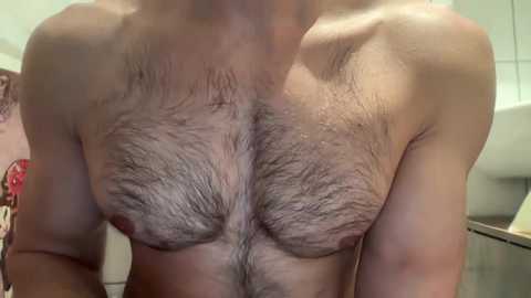 Media: Video of a bare-chested man with a muscular build, thick chest hair, and a visible nipple piercing. Background shows kitchen appliances and a blurred person.