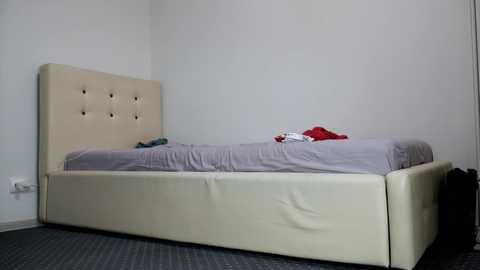 Media: A video of a minimalist, modern bedroom featuring a beige, tufted headboard bed with a lavender bedspread, a red shirt, and a black bag on the floor. The walls are plain white, and the carpet is dark gray.