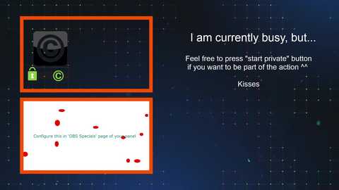 Media: A digital screenshot of a web page with a dark background, featuring a button labeled \"I am currently busy, but...\" and a text box asking \"Kissos.\