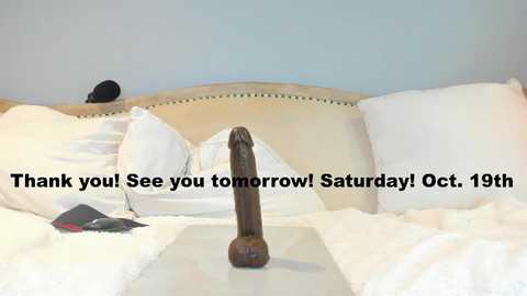 Media: Video of a neatly made bed with white sheets and pillows. A dark wooden dildo is prominently placed in the center, with a black smartphone beside it. Text reads, \"Thank you See you tomorrow! Saturday! October 19th.\