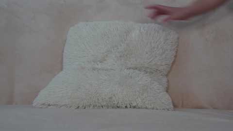 Media: A video shows a person's hand gently touching a plush, white, fluffy throw pillow against a beige wall. The background is blurred, highlighting the soft texture of the pillow.