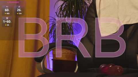 Media: A video displaying a potted plant with green leaves and a purple background. Text overlay reads \"BBR\" and \"BBR\" in large, bold letters.