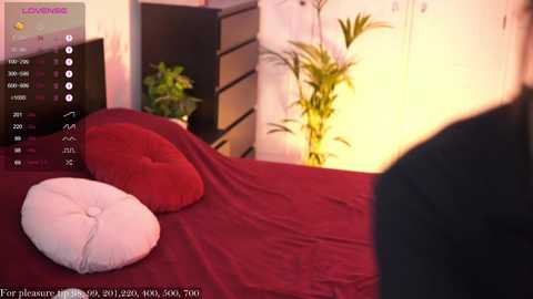 Media: Video of a cozy bedroom with a red bedspread, white pillow, and a green plant in the corner. A TV screen displays a weather app. Warm lighting enhances the room's ambiance.