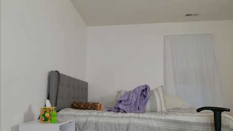 Media: A video of a minimalist bedroom with a white bed, gray headboard, white curtains, a purple blanket, and a green tissue box on a white nightstand.