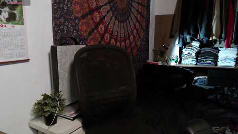 Media: A video of a cluttered, dimly lit bedroom with a brown chair, colorful tapestry, potted plant, calendar, and a messy dresser, reflecting a disorganized and lived-in atmosphere.