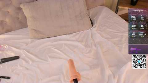 Media: A video of a white bed with a beige cushion and a dildo on the sheets, surrounded by sex toys and a QR code.