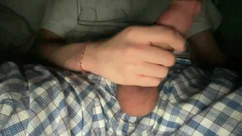 Media: A video shows a light-skinned hand holding a hard penis, partially covered by a blue and white plaid shirt. The background is dark, suggesting a dimly lit room.