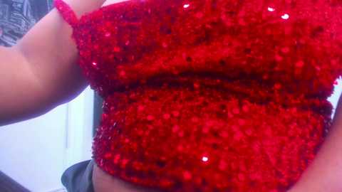 Media: Video of a woman's torso, showing off a vibrant, sequined red crop top. The image focuses on the texture of the sequins and the contrasting skin tone.