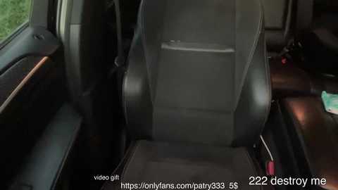 Media: Video of a dark-colored, well-kept car seat, with a small, rectangular, gray storage box on the backrest, showing a close-up view. The URL \"https://vinaigirl.com/nolans.com/2023-5-22-destroy_me\" is visible in the bottom left corner.