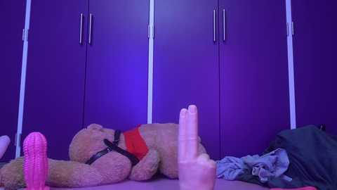 Media: A video of a teddy bear in a harness, lying on a bed with multiple sex toys, including a pink dildo and a transparent, cylindrical object. The background features a purple wall and closed closet doors.