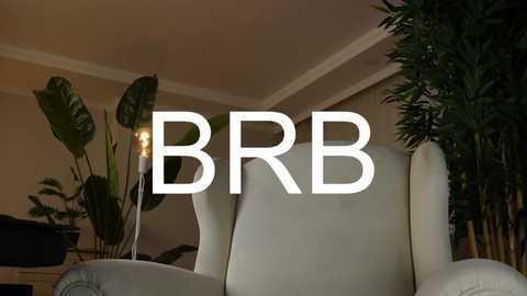 Media: Video of a modern living room with a white armchair, a green plant with broad leaves, and a tall, slender floor lamp. \"BBR\" is prominently displayed in bold white text.