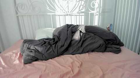 Media: Video of a bed with a dark grey comforter and a white metal headboard. The room is softly lit, with pale green and white walls.