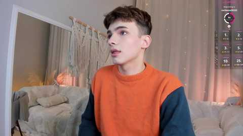 Media: Video of a young, fair-skinned, androgynous person with short, tousled brown hair, wearing an orange and blue sweater, looking contemplative in a cozy, beige-furnished living room with a macrame wall hanging.