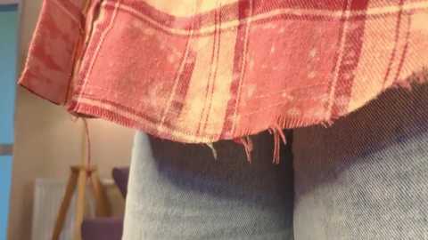 Media: A close-up video of a person's waist, showing a red plaid skirt fraying at the hem and light blue jeans. The background includes a wooden chair and a blue door, suggesting an indoor setting.