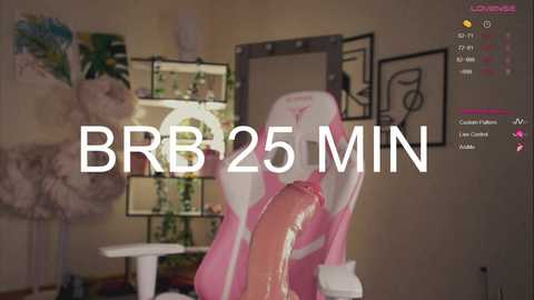 Media: A virtual 3D image of a pink, rabbit-like creature with large ears, a pink body, and a large, erect, human-like penis. Text overlays read \"BRB 25 MIN.\" The background features a beige room with art pieces and a shelf.