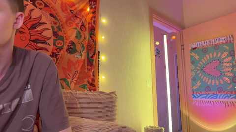 Media: Video of a brightly lit, colorful room with a gray-shirted person in the foreground, a sun tapestry, and a mandala tapestry on the walls, featuring warm lighting and bohemian decor.