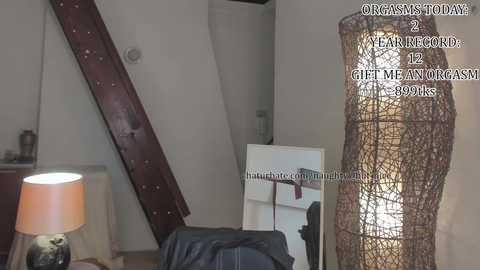 Media: A video of a minimalist, modern bedroom with a dark wooden ladder, a beige lamp, a wicker lampshade, and a large, textured wicker floor lamp. Text overlay reads \"ORGANIC TONALITY 2 by 2 gift memoirgras 299kks.\