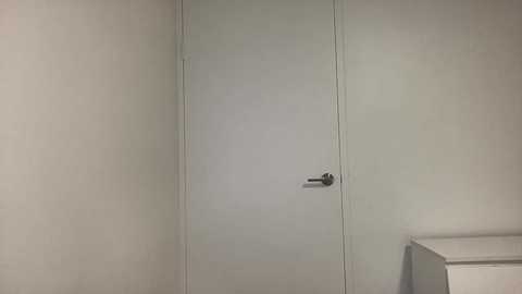 Media: Video of a minimalist interior featuring a white door with a silver handle set against plain, light gray walls. A white dresser is partially visible on the right side.