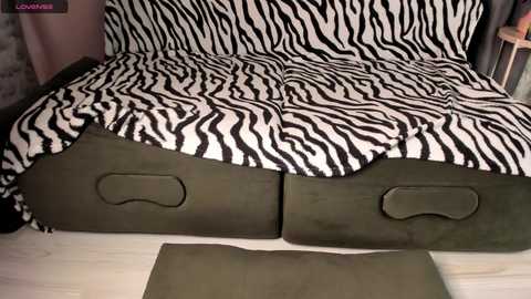 Media: A video of a sofa with a zebra-print cover and green storage boxes underneath, set against a light wooden floor. The sofa is partially visible, with a textured, striped fabric.