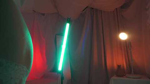 Media: Video of a dimly lit, cozy bedroom with a neon light emitting green and red hues. The room features a white lamp, beige curtains, and a dark cat on a bed.