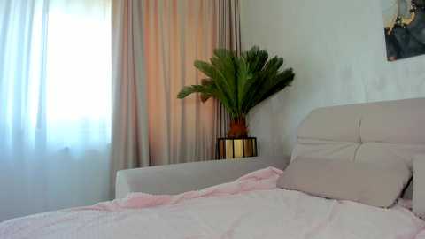 Media: Video of a minimalist bedroom with a light beige bed, soft pink blanket, potted palm tree, and sheer white curtains, creating a serene, clean atmosphere.