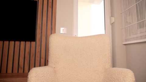 Media: A video of a beige, fluffy armchair in a modern, minimalist room with wooden vertical paneling, a white wall, and a small window with white blinds.