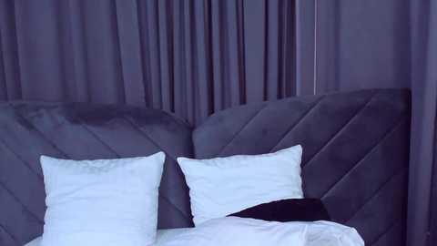 Media: Video of a plush, gray, quilted headboard with white pillows, and white bedding, set against a backdrop of dark purple, pleated curtains. The ambiance is cozy and elegant.