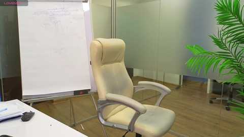 Media: Video of a modern office with a beige ergonomic chair, whiteboard, potted plant, and wooden flooring.