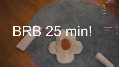 Media: A video of a fluffy, white cat-shaped pillow with a brown nose on a blue rug. Text reads \"BB 25 min!\" with a progress bar above.