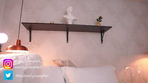 Media: Video of a cozy, minimalist bedroom with a white bed, black floating shelves, a white bust sculpture, and a small plant. The room has a warm, soft light.