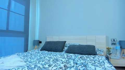 Media: Video of a modern bedroom with light wood headboard, blue patterned bedspread, grey pillows, and matching nightstands with blue lamps. Soft blue light fills the room.