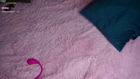 Media: A video shows a pink, textured bedspread with a teal pillow, a pink vibrator on the left, and a dark blue pillow in the background.