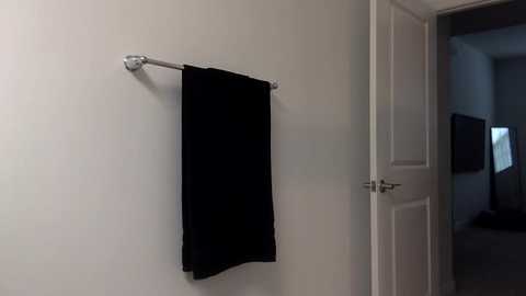 Media: A video of a simple bathroom scene with a black towel hanging on a silver towel rack against a plain white wall. A partially open white door reveals a dimly lit hallway.