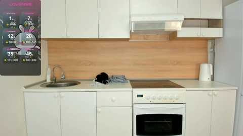 Media: Video of a minimalist kitchen with white cabinets, wooden backsplash, stainless steel sink, microwave, and digital clock on the wall.