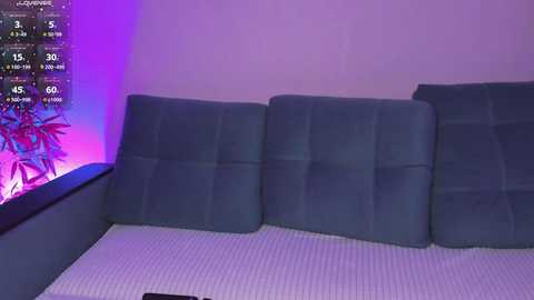 Media: Video of a minimalist living room with a blue-gray sectional sofa, textured white rug, and a colorful plant on a shelf. Purple ambient lighting enhances the modern, cozy atmosphere.