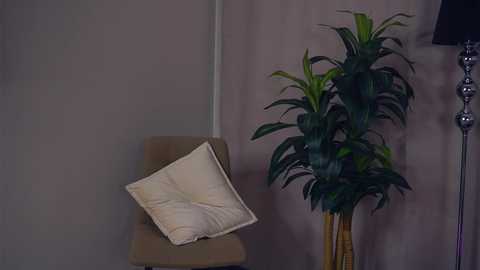 Media: Video of a beige armchair with a square cushion and a large green potted plant, standing against a plain beige wall, with a black floor lamp in the background.