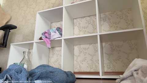 Media: Video of a white modular shelving unit with six compartments, adorned with light green floral wallpaper. A blue knit blanket and a glass vase rest on the floor in front, alongside a partially visible black cat.