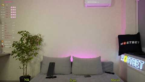 Media: Video of a modern bedroom with a gray bed, gray pillows, a potted plant, a TV, and a \"Hootsuite\" logo on a window, featuring a pinkish-purple accent light.