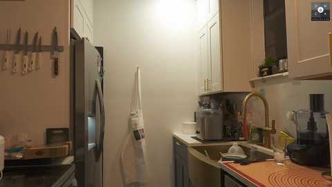 Media: Video of a small, cozy kitchen with beige cabinets, a stainless steel fridge, a white apron hanging, and various kitchen utensils on the wall.